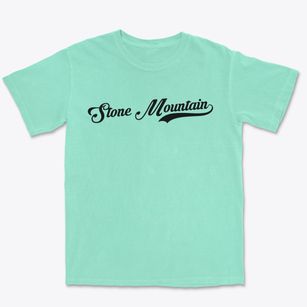 Stone Mountain Georgia Vintage Team Premium Heavyweight T-shirt
