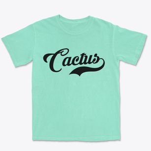 Cactus Texas Vintage Team Premium Heavyweight T-shirt