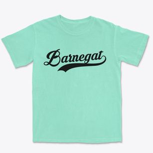 Barnegat New Jersey Vintage Team Premium Heavyweight T-shirt