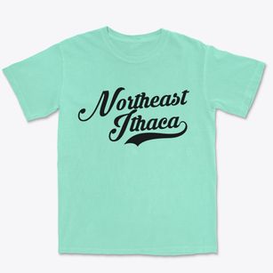 Northeast Ithaca New York Vintage Team Premium Heavyweight T-shirt