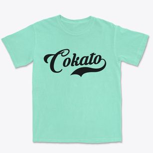 Cokato Minnesota Vintage Team Premium Heavyweight T-shirt