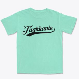 Taghkanic New York Vintage Team Premium Heavyweight T-shirt
