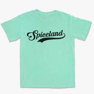 Spiceland Indiana Vintage Team Premium Heavyweight T-shirt