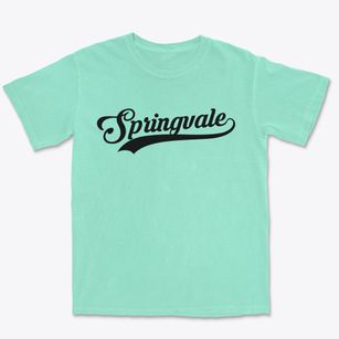 Springvale Wisconsin Vintage Team Premium Heavyweight T-shirt