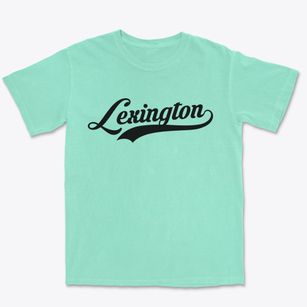 Lexington North Carolina Vintage Team Premium Heavyweight T-shirt