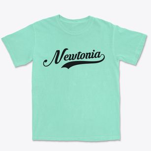 Newtonia Missouri Vintage Team Premium Heavyweight T-shirt