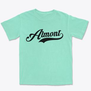 Almont North Dakota Vintage Team Premium Heavyweight T-shirt
