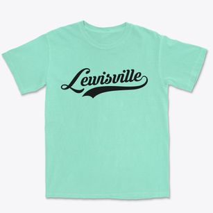 Lewisville North Carolina Vintage Team Premium Heavyweight T-shirt