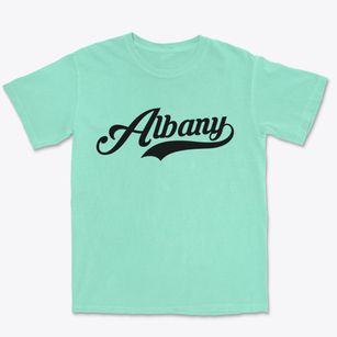 Albany Wyoming Vintage Team Premium Heavyweight T-shirt