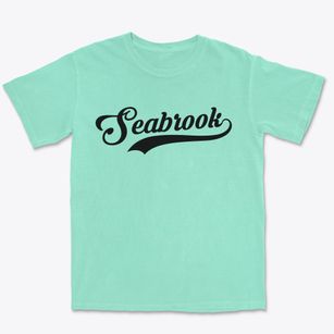 Seabrook New Hampshire Vintage Team Premium Heavyweight T-shirt