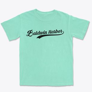Baldwin Harbor New York Vintage Team Premium Heavyweight T-shirt