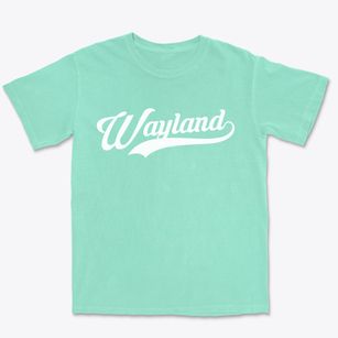 Wayland Michigan Vintage Team Premium Heavyweight T-shirt