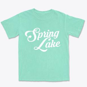 Spring Lake Indiana Vintage Team Premium Heavyweight T-shirt