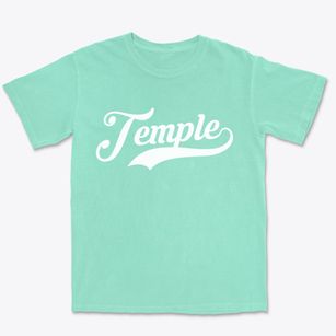 Temple Texas Vintage Team Premium Heavyweight T-shirt