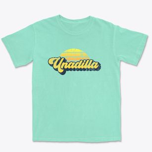 Unadilla New York Sublime Sunset Premium Heavyweight T-shirt