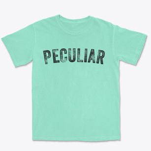 Peculiar Missouri Timeless Retro Premium Heavyweight T-shirt