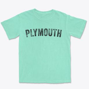 Plymouth North Carolina Timeless Retro Premium Heavyweight T-shirt