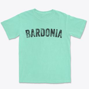 Bardonia New York Timeless Retro Premium Heavyweight T-shirt