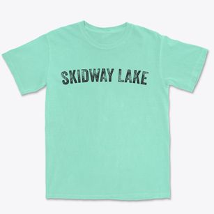 Skidway Lake Michigan Timeless Retro Premium Heavyweight T-shirt