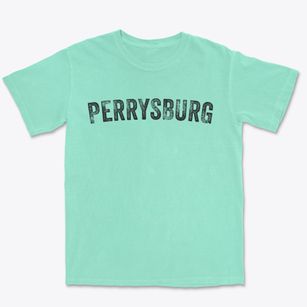 Perrysburg New York Timeless Retro Premium Heavyweight T-shirt