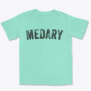 Medary Wisconsin Timeless Retro Premium Heavyweight T-shirt