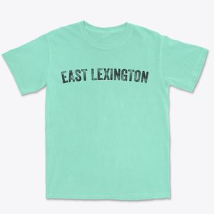 East Lexington Virginia Timeless Retro Premium Heavyweight T-shirt