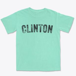 Clinton Iowa Timeless Retro Premium Heavyweight T-shirt