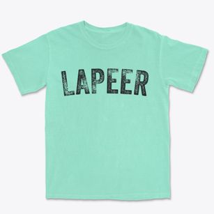 Lapeer New York Timeless Retro Premium Heavyweight T-shirt