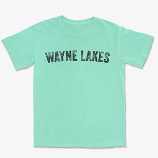 Wayne Lakes Ohio Timeless Retro Premium Heavyweight T-shirt