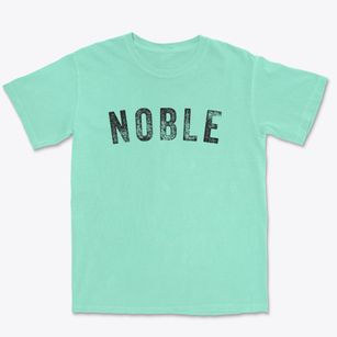Noble Illinois Timeless Retro Premium Heavyweight T-shirt