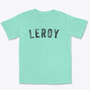 Leroy Kansas Timeless Retro Premium Heavyweight T-shirt