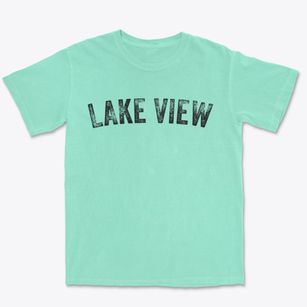Lake View Arkansas Timeless Retro Premium Heavyweight T-shirt