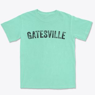Gatesville North Carolina Timeless Retro Premium Heavyweight T-shirt