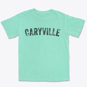 Caryville Florida Timeless Retro Premium Heavyweight T-shirt