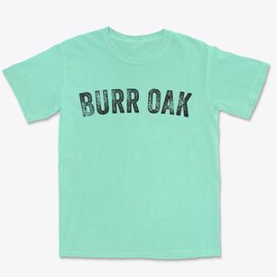 Burr Oak Iowa Timeless Retro Premium Heavyweight T-shirt