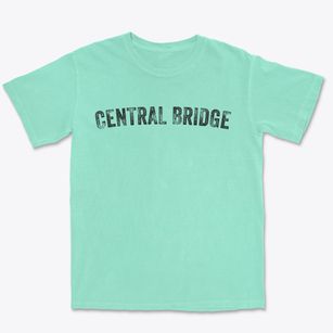 Central Bridge New York Timeless Retro Premium Heavyweight T-shirt