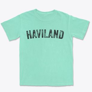 Haviland Ohio Timeless Retro Premium Heavyweight T-shirt