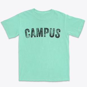 Campus Illinois Timeless Retro Premium Heavyweight T-shirt