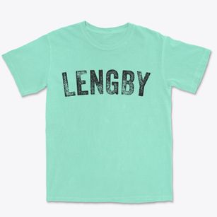 Lengby Minnesota Timeless Retro Premium Heavyweight T-shirt