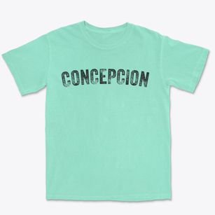 Concepcion Texas Timeless Retro Premium Heavyweight T-shirt