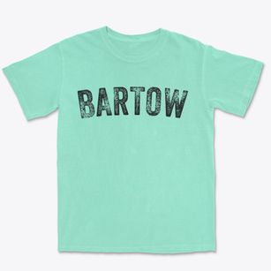 Bartow West Virginia Timeless Retro Premium Heavyweight T-shirt