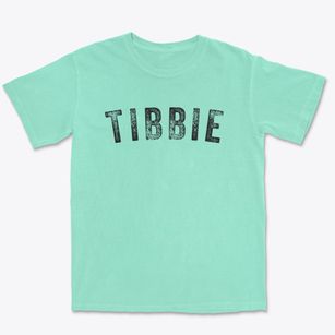 Tibbie Alabama Timeless Retro Premium Heavyweight T-shirt