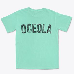 Oceola Ohio Timeless Retro Premium Heavyweight T-shirt