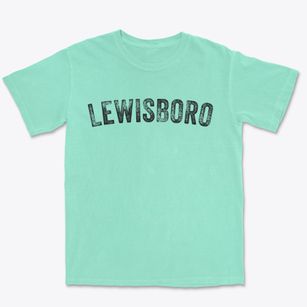 Lewisboro New York Timeless Retro Premium Heavyweight T-shirt