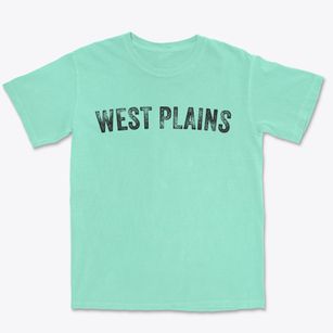 West Plains Missouri Timeless Retro Premium Heavyweight T-shirt