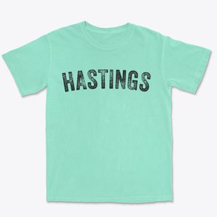 Hastings New York Timeless Retro Premium Heavyweight T-shirt