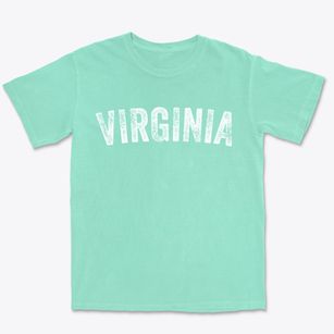 Virginia Nebraska Timeless Retro Premium Heavyweight T-shirt