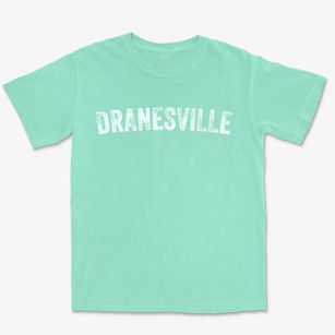Dranesville Virginia Timeless Retro Premium Heavyweight T-shirt