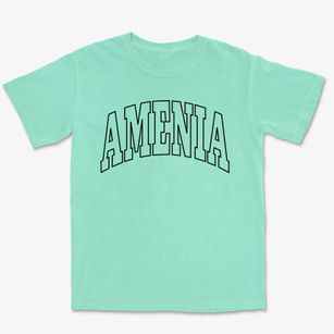 Amenia New York Trendy Block Premium Heavyweight T-shirt