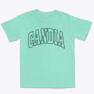 Candia New Hampshire Trendy Block Premium Heavyweight T-shirt